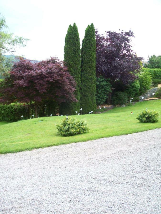 Chalet De Grettery Saulxures-sur-Moselotte Exterior foto